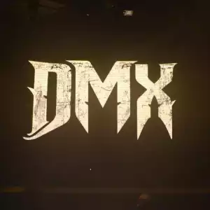 DMX - Niggaz Done Started Something